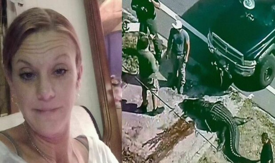 A CROCODILE KILLED A WOMEN IN FLORIDA : the atrocious death of Sabrina Peckham in a video